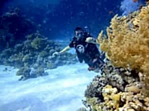 Antalya Dalış Turu