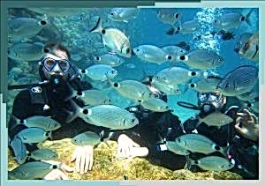 Antalya Dalış Turu