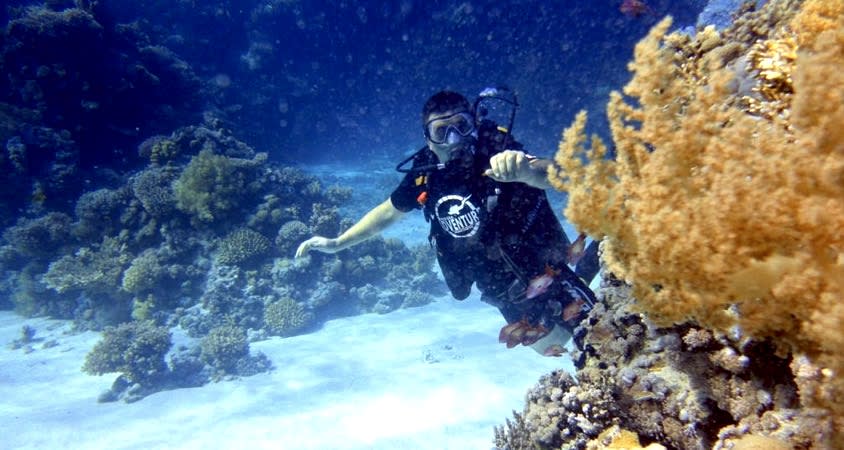 Denizin altına açılan kapı: Scuba Dalış Turu
